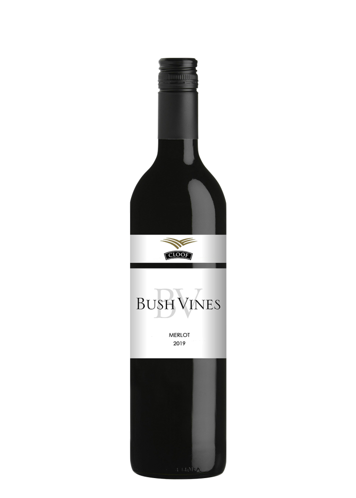 Cloof Bush Vines Merlot 75 Cl