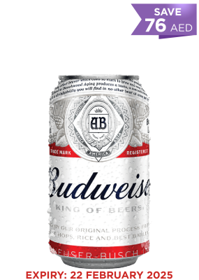 Budweiser Can 33 Cl. X 24 Promo